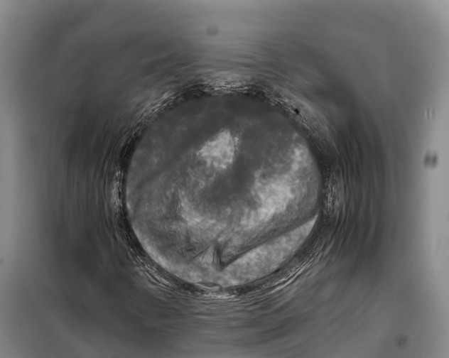 X0000098021346200804251128