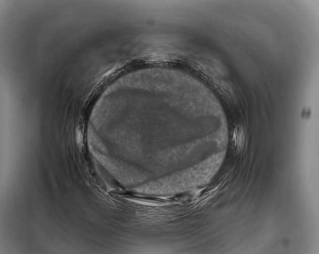 X0000098021348200804251128