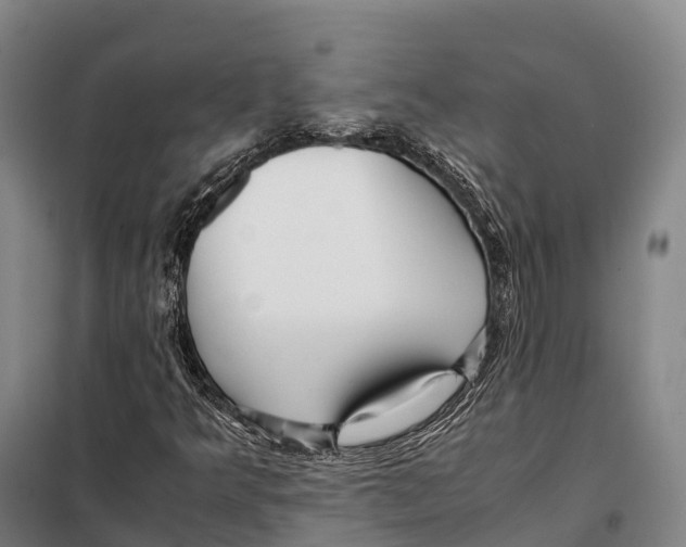 X0000098021349200804251128