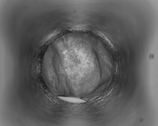 X0000098021350200804251128