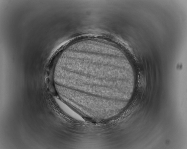 X0000098021352200804251128