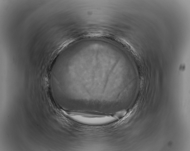 X0000098021353200804251128