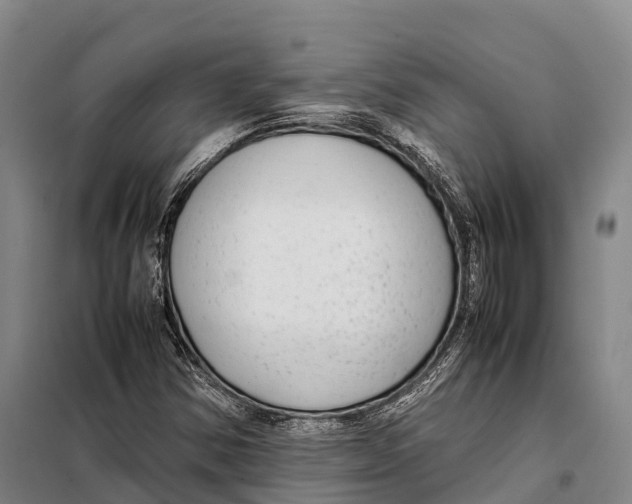 X0000098021354200804251128