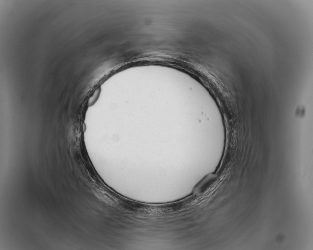 X0000098021355200804251128
