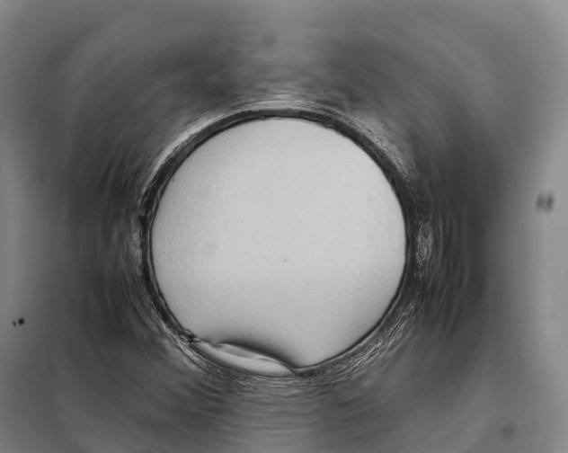 X0000098021356200804251128