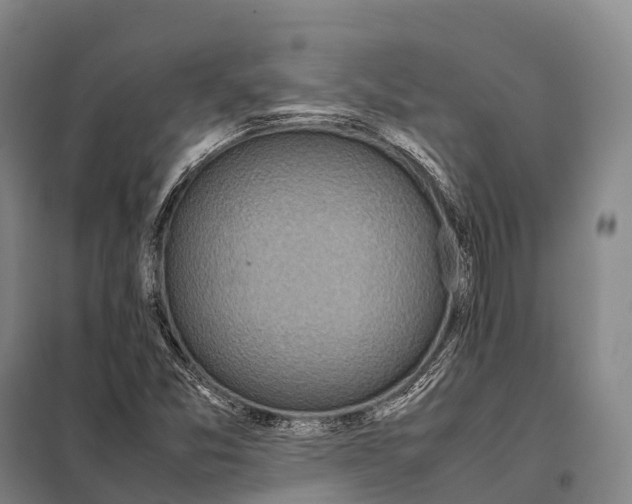 X0000098021357200804251128