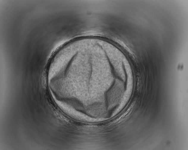 X0000098021358200804251128
