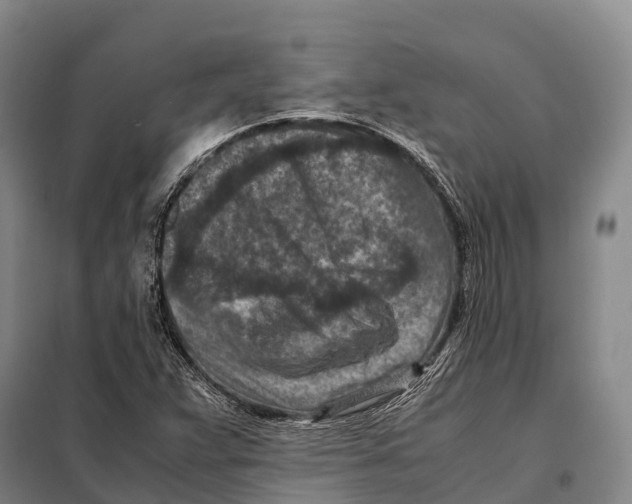 X0000098021359200804251128