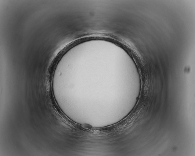 X0000098021360200804251128