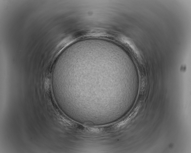 X0000098021361200804251128