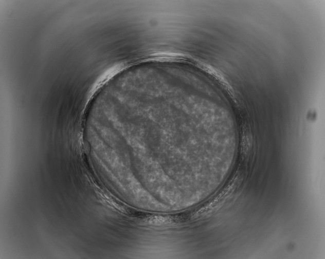 X0000098021362200804251128