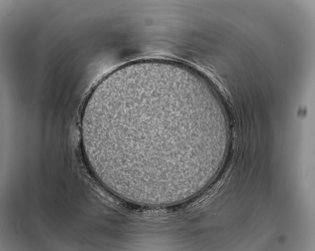 X0000098021363200804251128