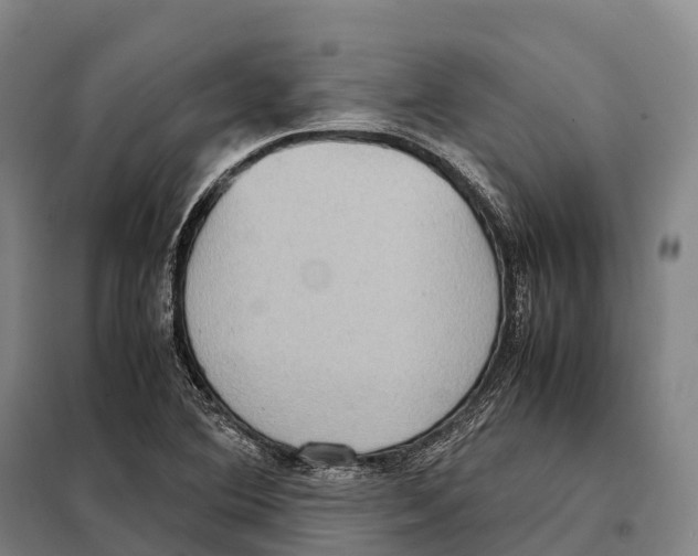X0000098021364200804251128