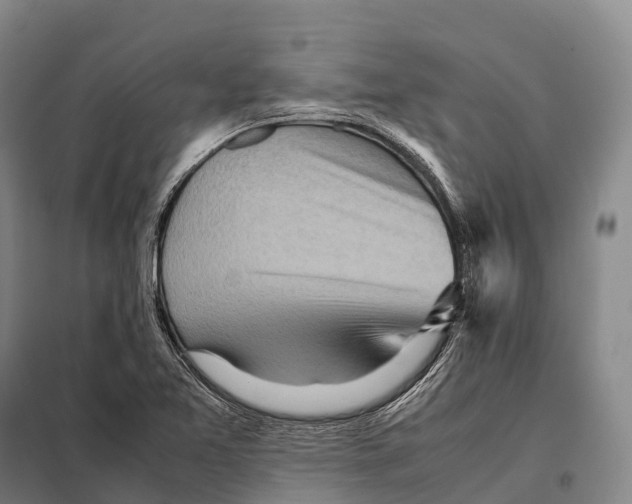 X0000098021365200804251128