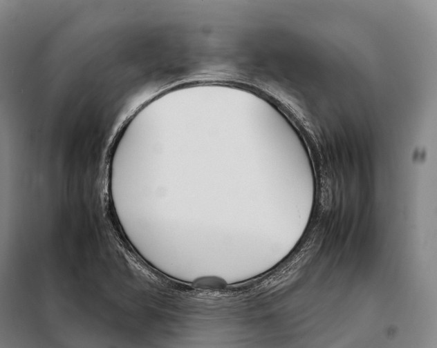 X0000098021366200804251128