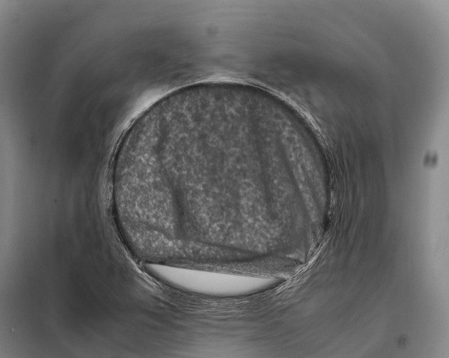 X0000098021367200804251127