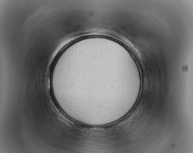 X0000098021368200804251127