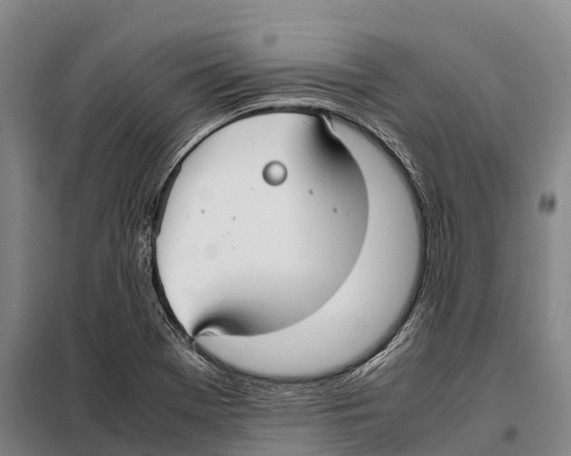 X0000098021369200804251127