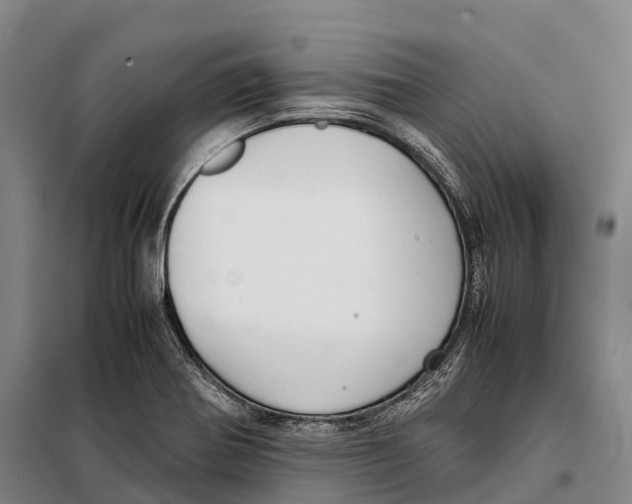 X0000098021370200804251127