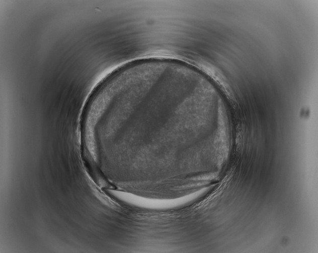 X0000098021372200804251127