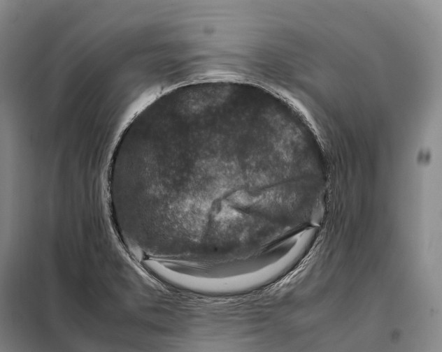 X0000098021373200804251127