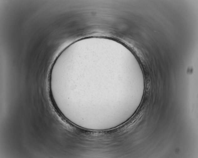 X0000098021375200804251127
