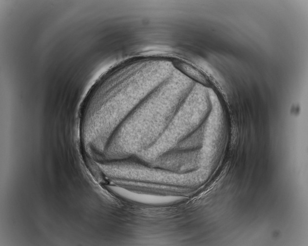 X0000098021376200804251127