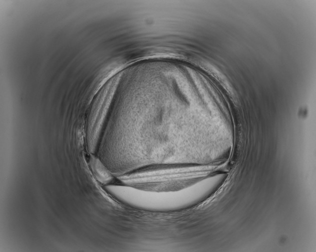 X0000098021377200804251127