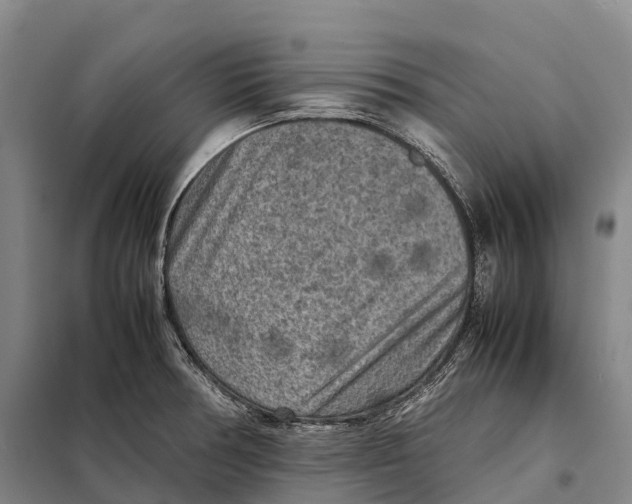 X0000098021378200804251127