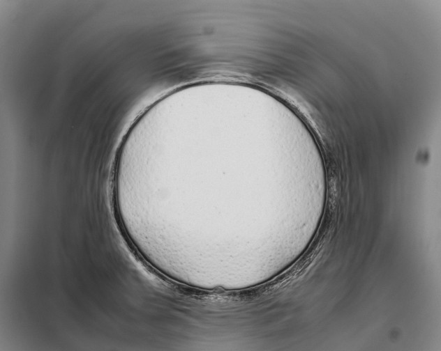X0000098021379200804251127