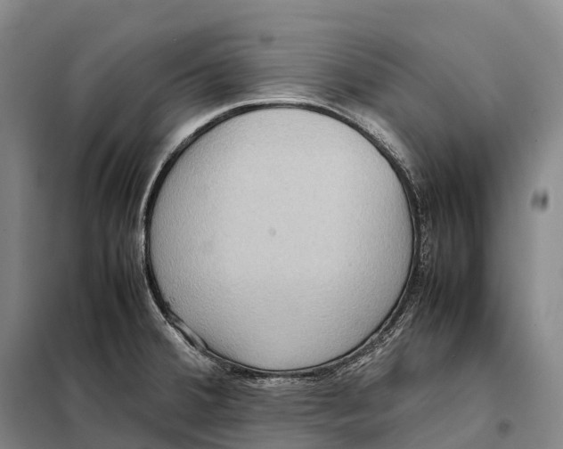 X0000098021380200804251127