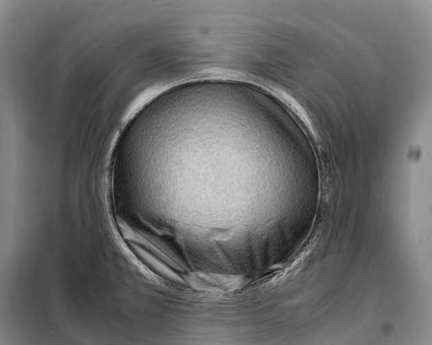 X0000098021381200804251127