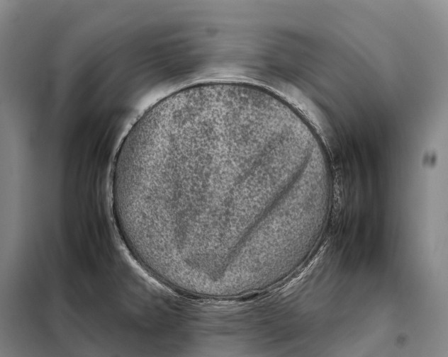 X0000098021382200804251127