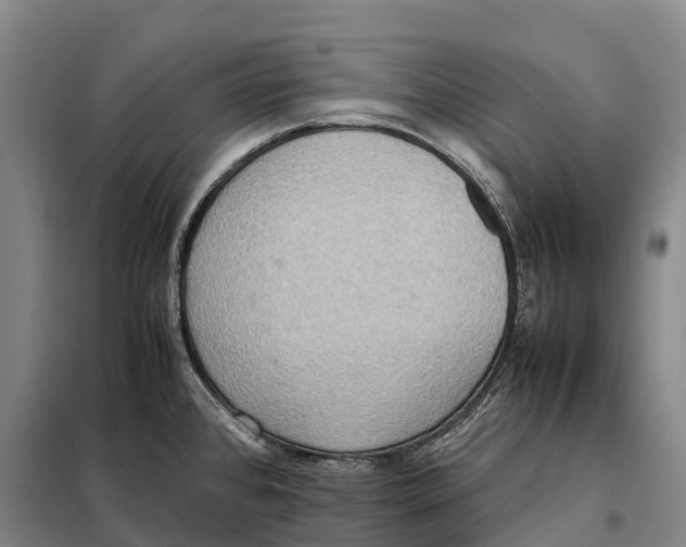 X0000098021384200804251127