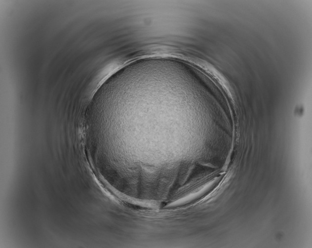 X0000098021385200804251127
