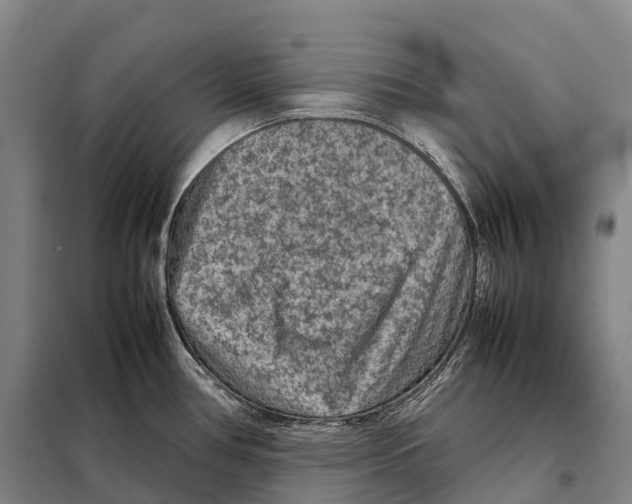 X0000098021386200804251127