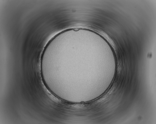 X0000098021388200804251127