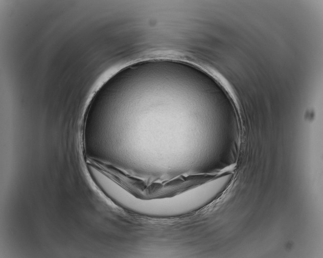 X0000098021389200804251127
