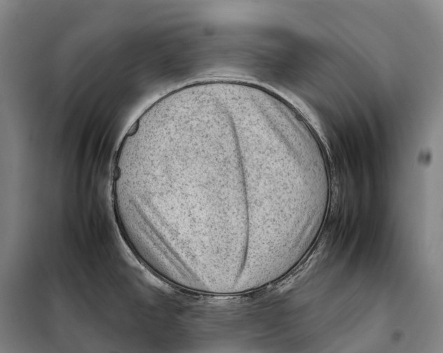 X0000098021390200804251127