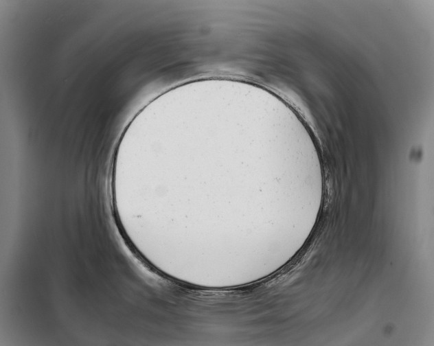 X0000098021391200804251127