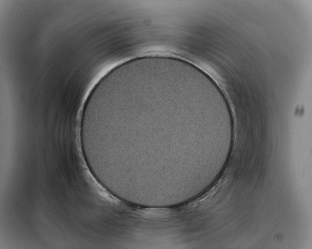 X0000098021392200804251127