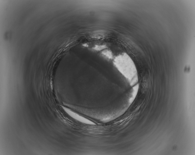 X0000098021394200804251126