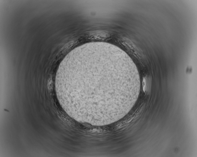 X0000098021395200804251126