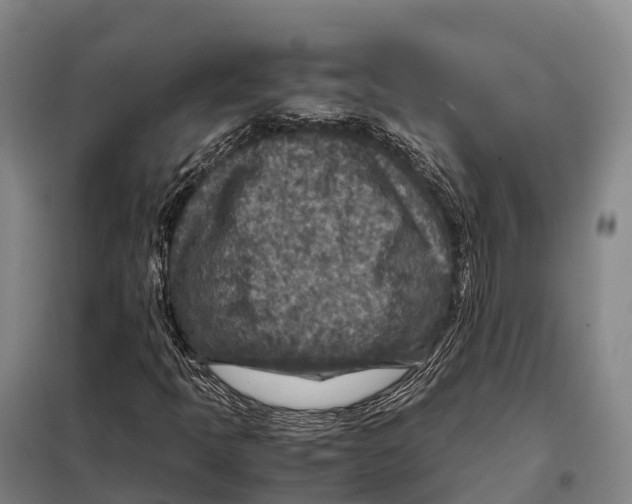 X0000098021397200804251126