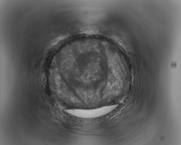 X0000098021398200804251126