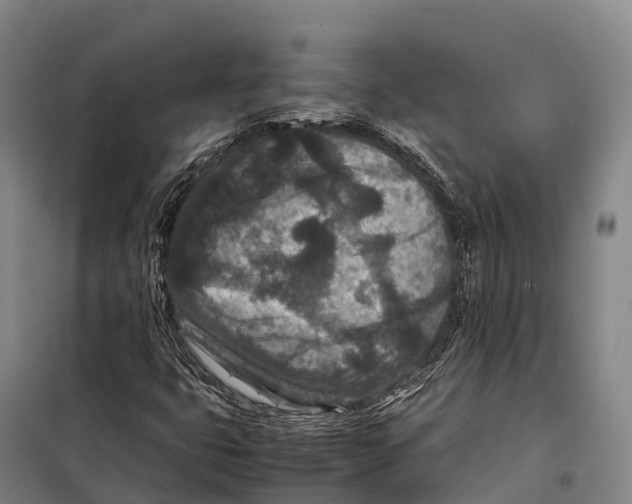 X0000098021399200804251126