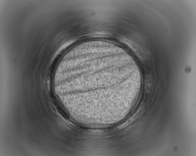 X0000098021402200804251127