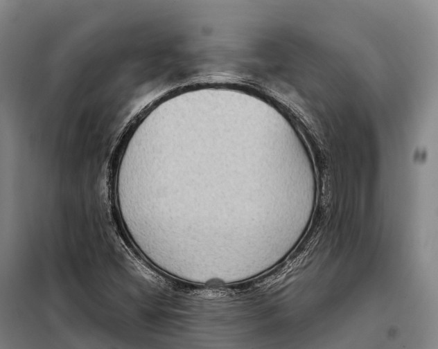 X0000098021404200804251127