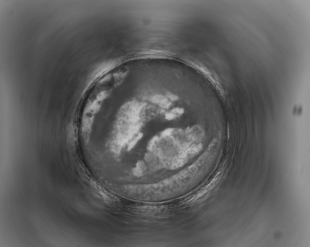 X0000098021405200804251127