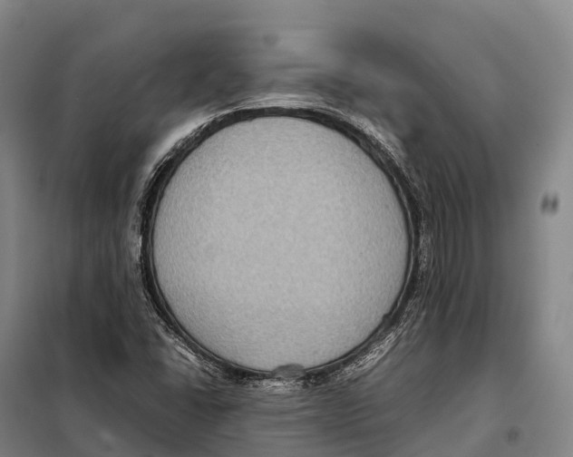 X0000098021406200804251127